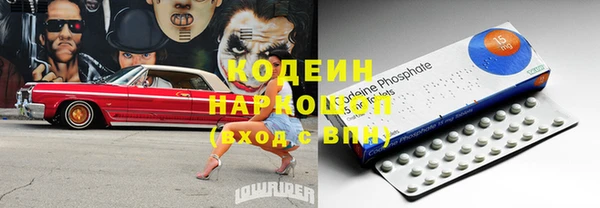 ешки Корсаков