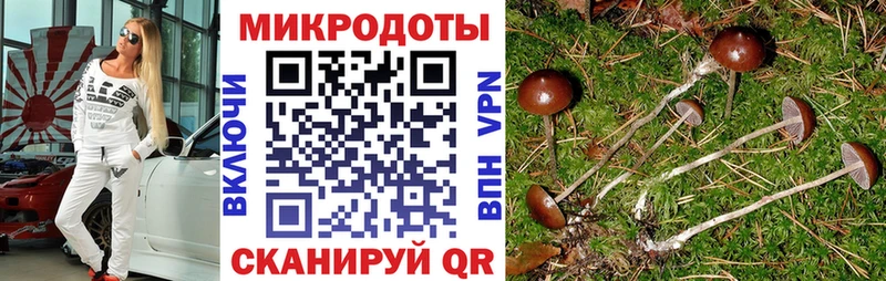 Псилоцибиновые грибы Cubensis  ОМГ ОМГ зеркало  Кудымкар 